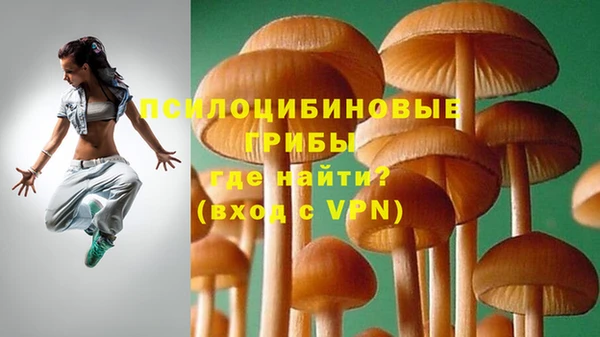ешки Нефтекумск