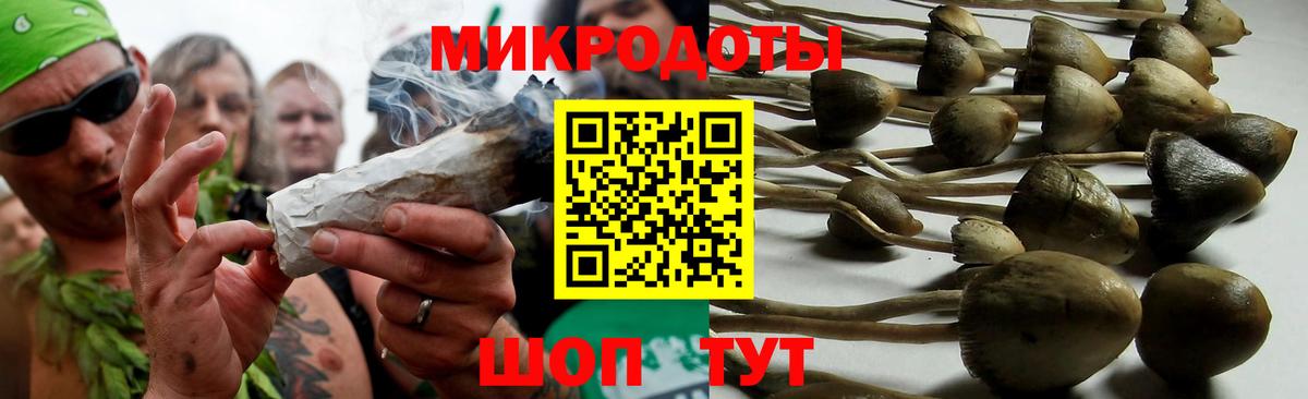 Псилоцибиновые грибы Psilocybine cubensis  Нижнекамск 